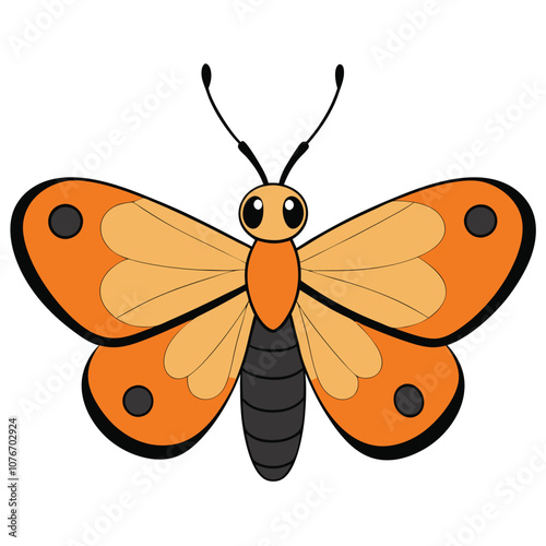 Orange Tip butterfly vector illustrations on a white background.