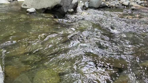 a mountain river in close-up. 