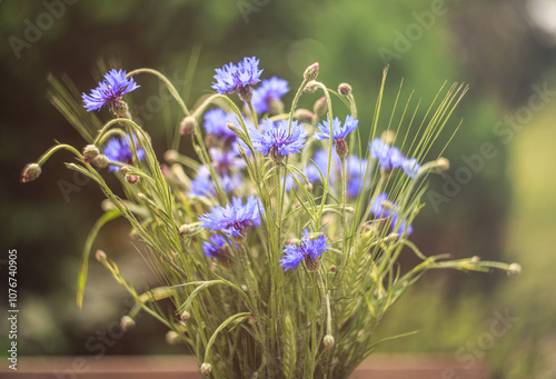 Serene Bouquet of Blue Cornflowers