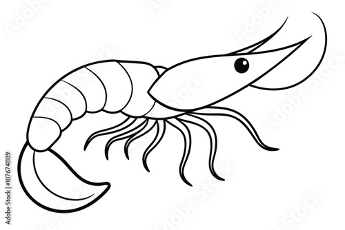 A Shrimp line art vector illustration