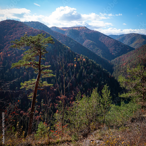 The Tomášovský view is the most beautiful view in the Slovak Paradise. It is a terrace-shaped rocky outcrop and offers a nice view of the valley of Biele Potok, Priel Hornád. photo