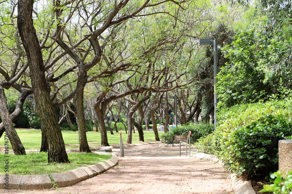 Obraz premium Pedestrian path in the city park.