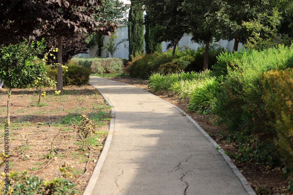 Pedestrian path in the city park. Pedestrian path in the city park.