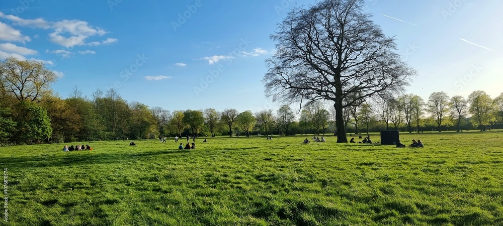 Fototapeta premium landscape with trees