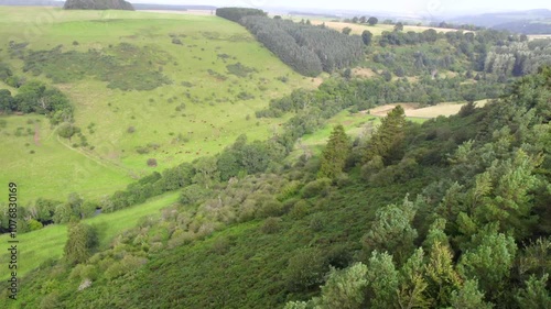 Windy Scottish trees by drone