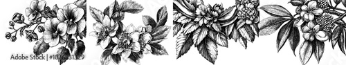 A collection of monochrome floral decorations, hand-drawn ornamental branches, decorative leaves, and flowers.
