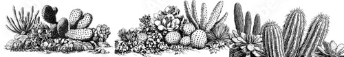 Cactuses drawn by hand. Cartoon agave, saguaro, prickly pear and desert plants. Seamless floral pattern engraving modern illustration of desert plants.