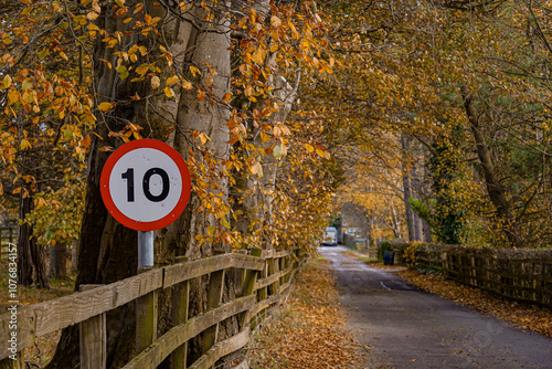 Beautiful autumn roads in the United Kingdom, Northumberland 
 photo