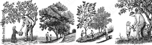 A cartoon illustration of a father and daughter picking a harvest