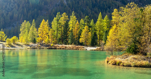 Herbststimmung an einem sonnigen Tag im Engadin, Morteratsch, Pontresina, Graubünden, Schweiz
 photo