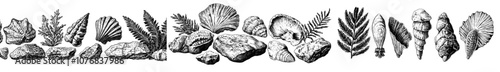 Prehistoric rock with seashell silhouettes, Jurassic dinosaur skeleton, skull, bone drawings, footprint. Flat modern illustrations isolated on white backdrop.