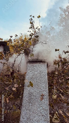 comignolo che fuma circondato da vegetazione autunnale photo