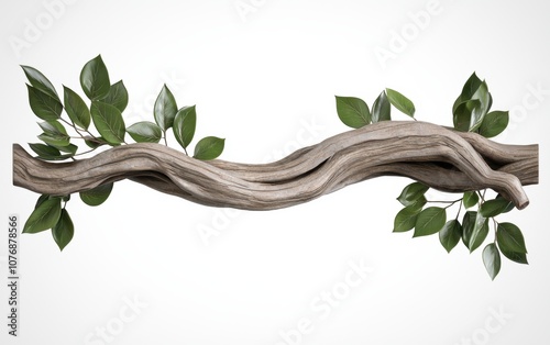 A weathered branch wrapped in vines, organic textures with natural greens, rustic and lifelike, isolated on white background photo