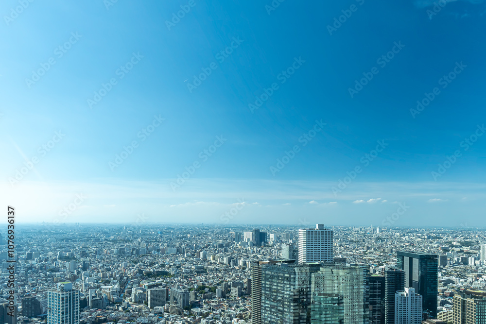 Fototapeta premium 【東京】2024年 秋 大都会新宿高層階からの街並み 摩天楼の風景【日本】