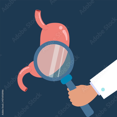 Stomach Examination - Gastrointestinal Health and Diagnosis Concept
