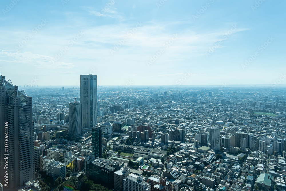 Fototapeta premium 【東京】2024年 秋 大都会新宿高層階からの街並み 摩天楼の風景【日本】