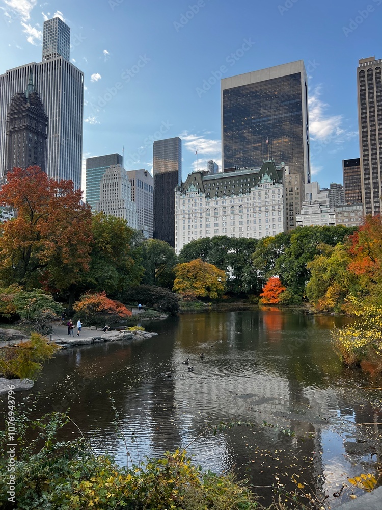 Obraz premium Cental Park