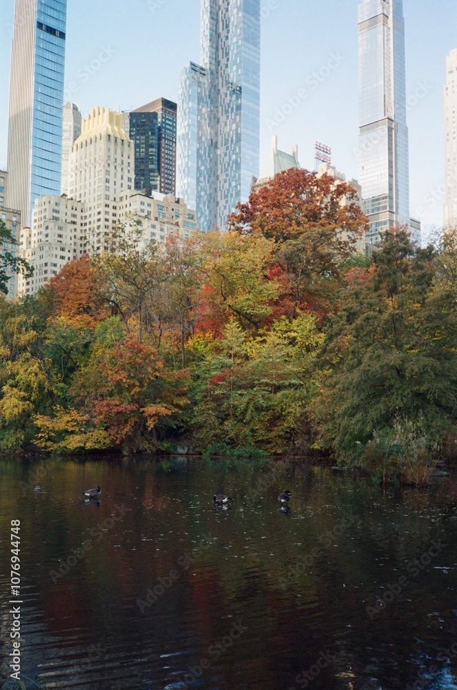 Obraz premium Central Park