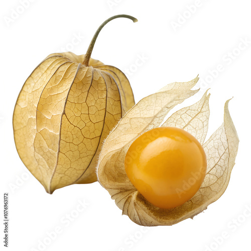 Physalis Fruit with Husk on Transparent Background photo