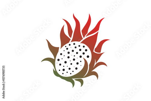 dragon fruits vector silhouette isolated in white background