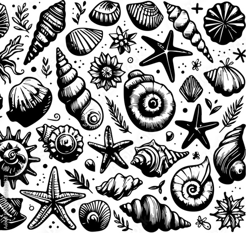 seashells doodles