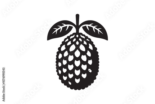 durian fruits vector silhouette isolated in white background