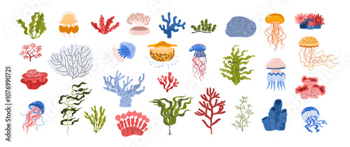A set of vector icons of various types of corals, algae and jellyfish