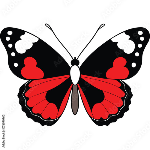 Red Admiral butterfly vector illustrations on a white background.