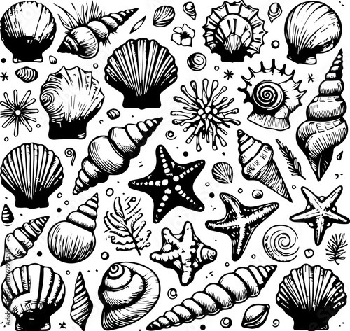 seashells doodles