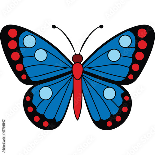 Red-spotted Purple butterfly vector illustrations on a white background.