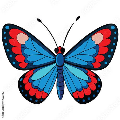 Red-spotted Purple butterfly vector illustrations on a white background.