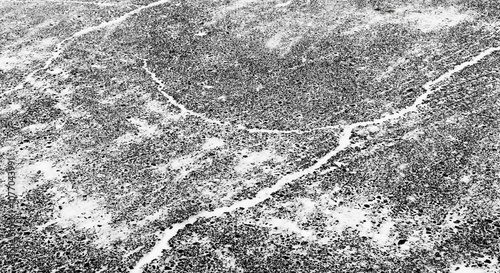 snow and snowflakes on the frozen asphalt with ice for a natural background photo