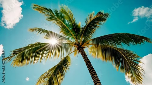 Wallpaper Mural A palm tree sways gently in the breeze, its leaves casting shadows on the bright blue sky Torontodigital.ca