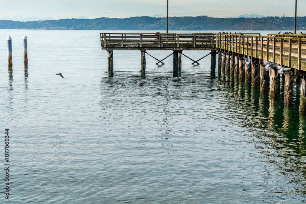 Fototapeta premium Shoreline And Pier 3