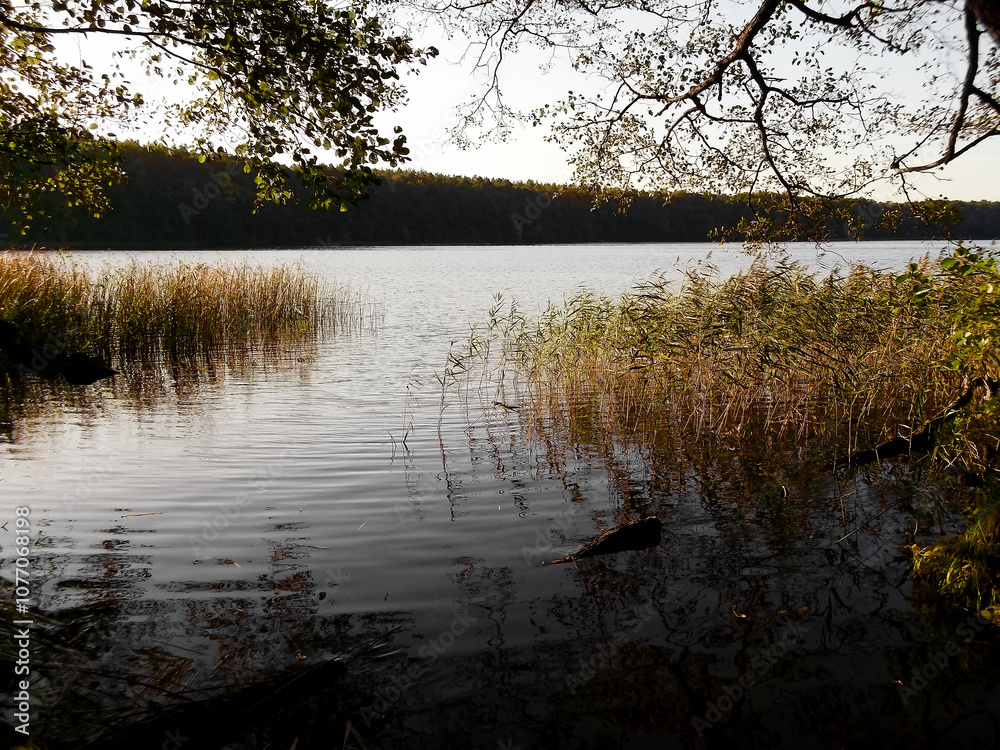 Ein See am Morgen im Herbst in der Uckermark