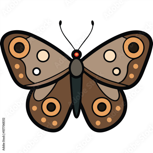 Speckled Wood butterfly vector illustrations on a white background.