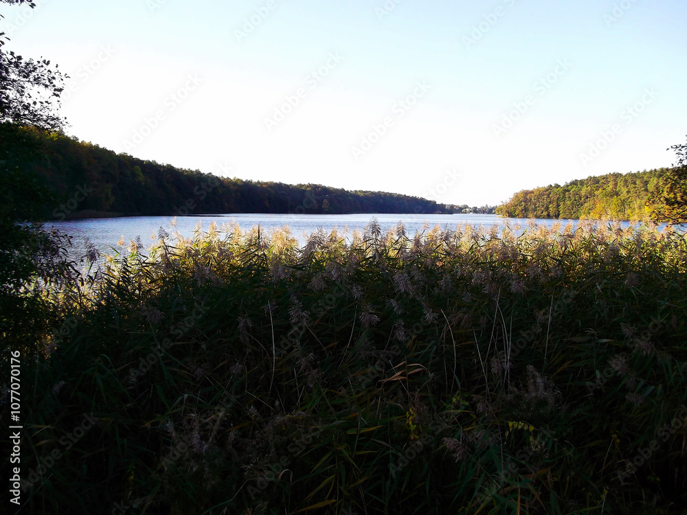 Ein See am Morgen im Herbst in der Uckermark