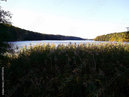 Obraz na płótnie Ein See am Morgen im Herbst in der Uckermark w salonie