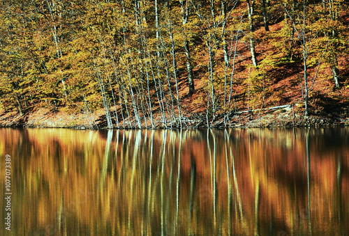 Wallpaper Mural lake in autumn forest Torontodigital.ca
