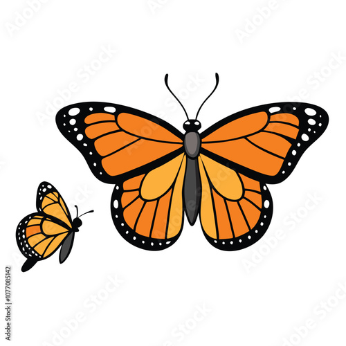 Tawny Emperor butterfly vector illustrations on a white background.