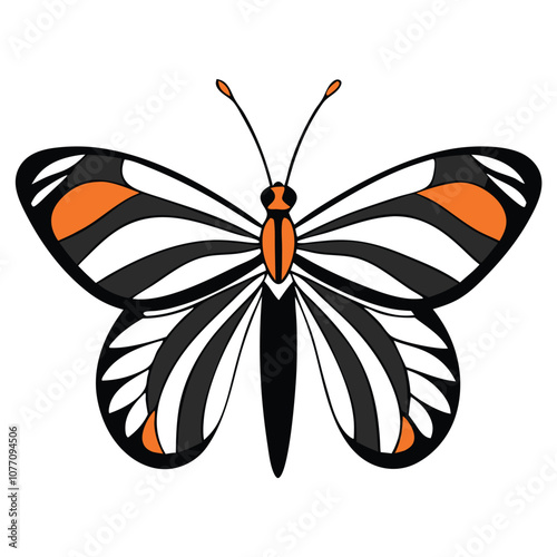 Zebra Longwing butterfly vector illustrations on a white background.