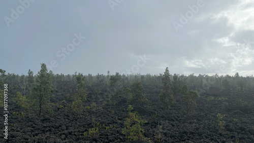 Pahoa Volcanic Rock Hawaii USA photo