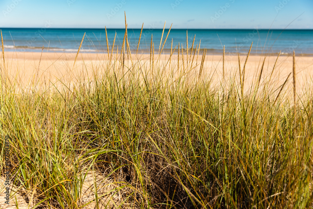 Looking at the calm Lake Michigan in eary October from behind the dune grasses at Harrington Beach State Park, Belgium, Wisconsin Looking at the calm Lake Michigan in eary October from behind the dune grasses at Harrington Beach State Park, Belgium, Wisconsin