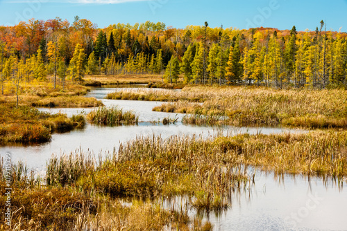 The early October changing colors of the northwoods is cast upon the landscape of this small waterway near Land O' Lakes, Wisconsin in Vilas photo