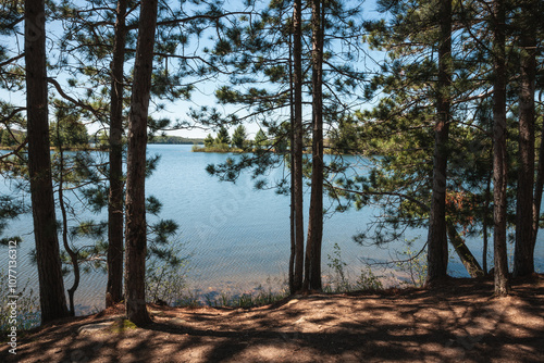 From behind the red pines, the calm waters of Star Lake, near Star Lake, Wisconsin in Vilas County await the canoe in late May photo