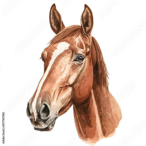 A watercolor vector of Horse, isolated on a white background. Horse vector.