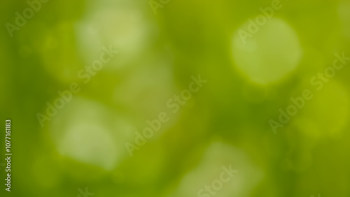 Bokeh on a colorful gradient background . The layout of a creative banner, poster, poster, cover, interior and design design. Corporate identity template
