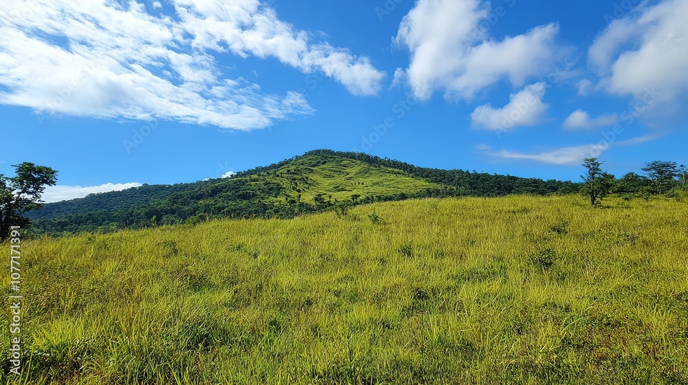 Fototapeta premium Remote hilltop, untouched views, lush meadows, fresh air, peaceful scene.