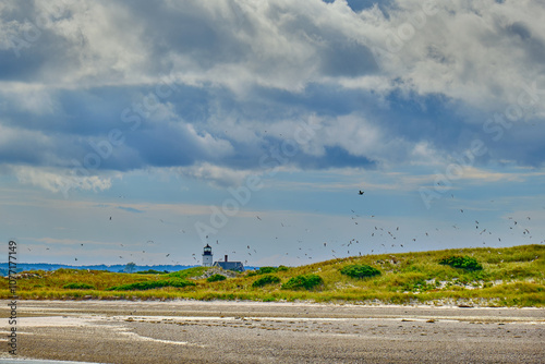 Sandy neck lighthouse with a dramatic sky with several flying birds