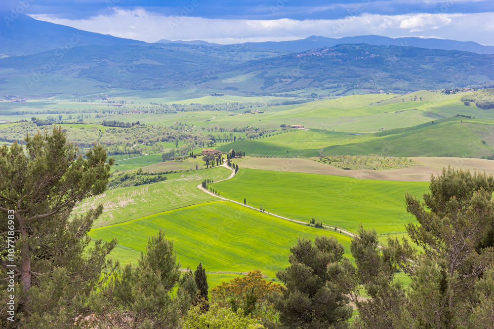 Winding road leading to a traditional Tuscan house in Pienza, Italy